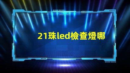 21珠led檢查燈哪家好