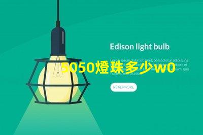 5050燈珠多少w0.03