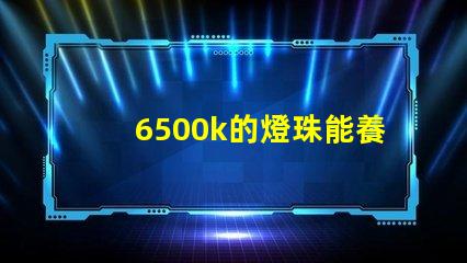 6500k的燈珠能養(yǎng)水草嗎led