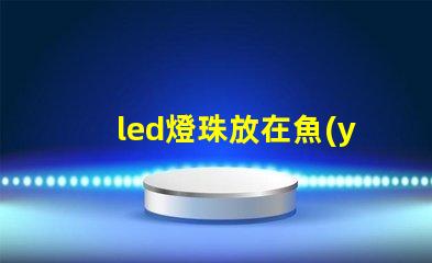 led燈珠放在魚(yú)缸里好嗎