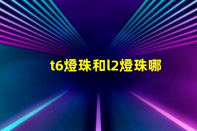 t6燈珠和l2燈珠哪個亮？
