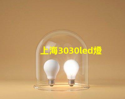 上海3030led燈珠