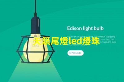天籟尾燈led燈珠