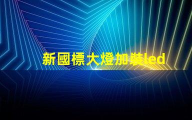 新國標大燈加裝led燈珠