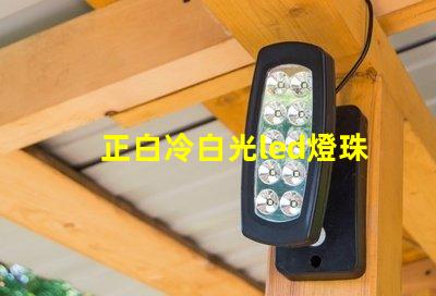 正白冷白光led燈珠