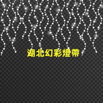 湖北幻彩燈帶