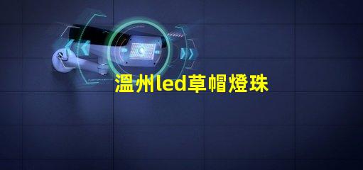 溫州led草帽燈珠